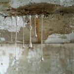 water damage insurance claim