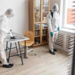 mold damage restoration services