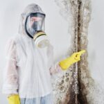Mold Damage Insurance Claims