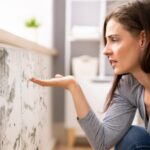 Mold Damage Insurance Claims