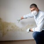 mold damage restoration services