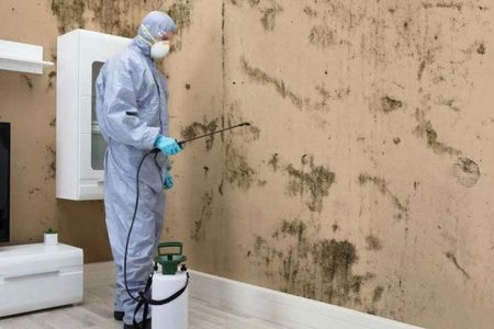 Learn why mold remediation is crucial after…