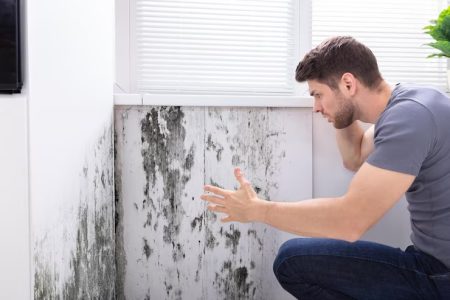 imgi_58_man-looking-mold-wall_1016675-4041