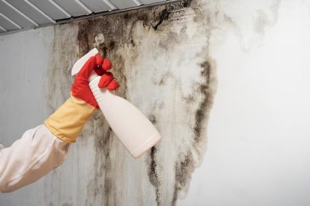 imgi_64_man-found-mold-wall-your-residential-building-after-renovation_132310-9273